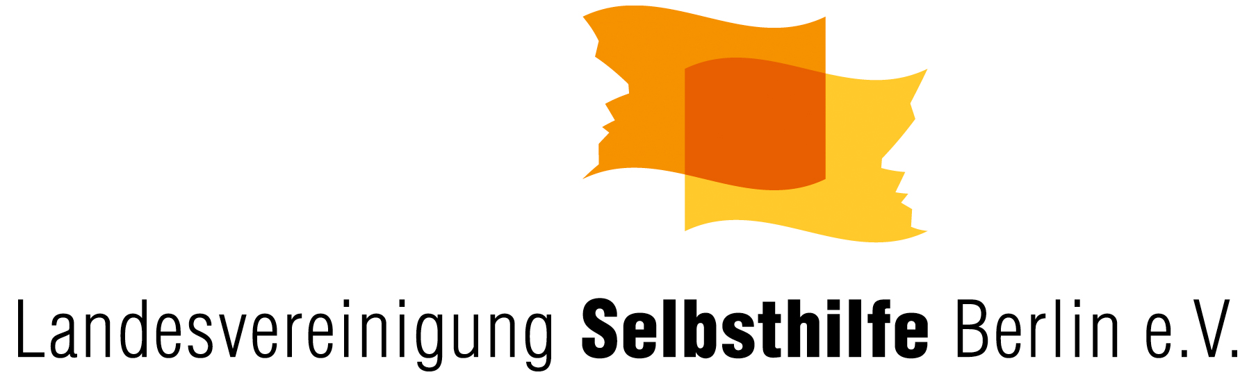 Logo Landesvereinigung Selbsthilfe Berlin